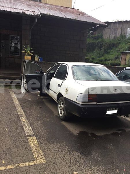 Big with watermark 30623955 578122035882356 6857030771144654848 n