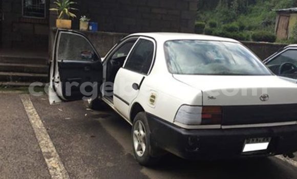 Buy Used Toyota Corolla White Car in Addis–Ababa in Ethiopia Buy Used Toyota Corolla White Car in Addis–Ababa in Ethiopia