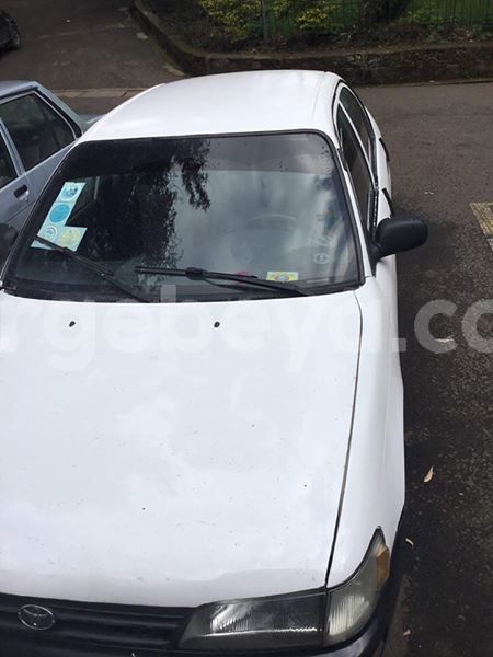 Big with watermark 30629329 194112211393369 244064733525704704 n