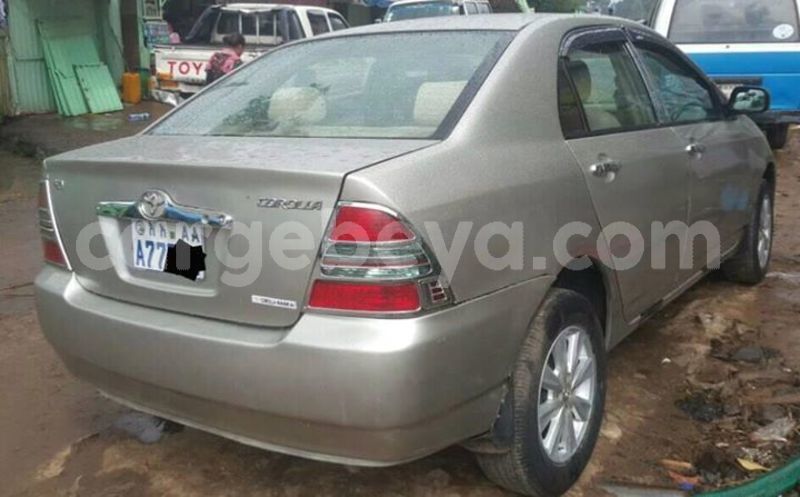 Big with watermark 30629329 194112211393369 244064733525704704 n