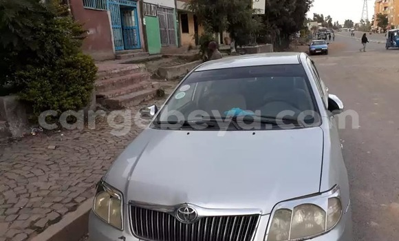 Buy Used Toyota Corolla Silver Car in Addis–Ababa in Ethiopia Buy Used Toyota Corolla Silver Car in Addis–Ababa in Ethiopia