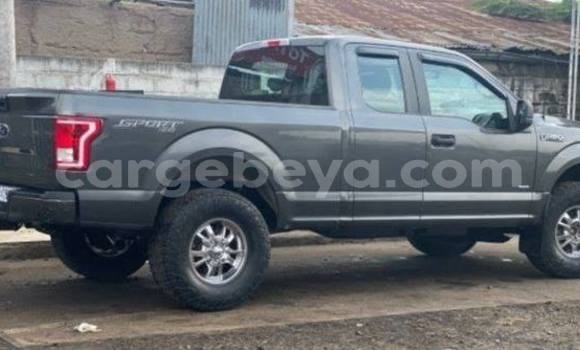 Buy Used Ford F–150 Other Car in Addis–Ababa in Ethiopia Buy Used Ford F–150 Other Car in Addis–Ababa in Ethiopia