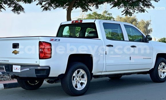 ይግዙ Imported Chevrolet Silverado ነጭ መኪና በ Import - Dubai በ ኢትዮጵያ ይግዙ Imported Chevrolet Silverado ነጭ መኪና በ Import - Dubai በ ኢትዮጵያ
