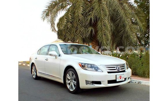 ይግዙ Imported Lexus LS ነጭ መኪና በ Import - Dubai በ ኢትዮጵያ ይግዙ Imported Lexus LS ነጭ መኪና በ Import - Dubai በ ኢትዮጵያ
