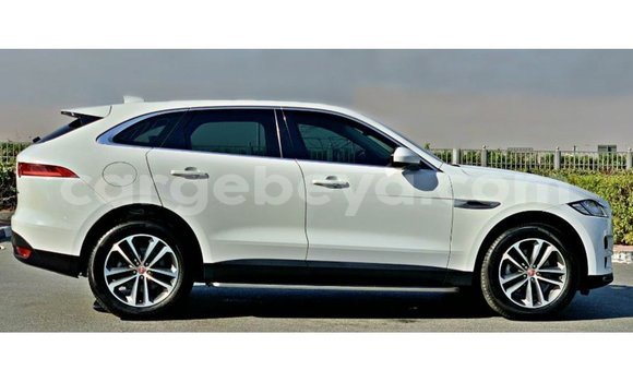ይግዙ Imported Jaguar F-Pace ነጭ መኪና በ Import - Dubai በ ኢትዮጵያ ይግዙ Imported Jaguar F-Pace ነጭ መኪና በ Import - Dubai በ ኢትዮጵያ