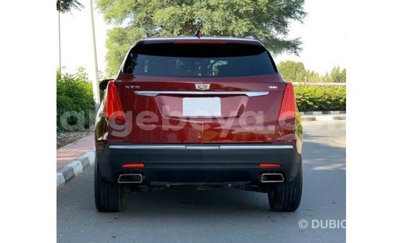 ይግዙ Imported Cadillac XT5 ቀይ መኪና በ Import - Dubai በ ኢትዮጵያ ይግዙ Imported Cadillac XT5 ቀይ መኪና በ Import - Dubai በ ኢትዮጵያ