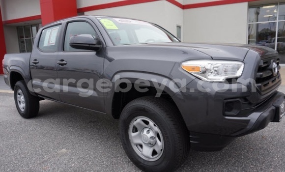 Acheter Occasion Voiture Toyota Tacoma Autre à Addiet–Canna, Ethiopie Acheter Occasion Voiture Toyota Tacoma Autre à Addiet–Canna, Ethiopie