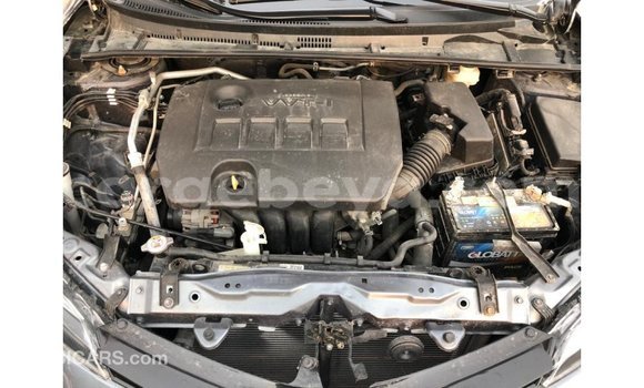 Acheter Import Voiture Toyota Corolla Autre à Import - Dubai, Ethiopie Acheter Import Voiture Toyota Corolla Autre à Import - Dubai, Ethiopie