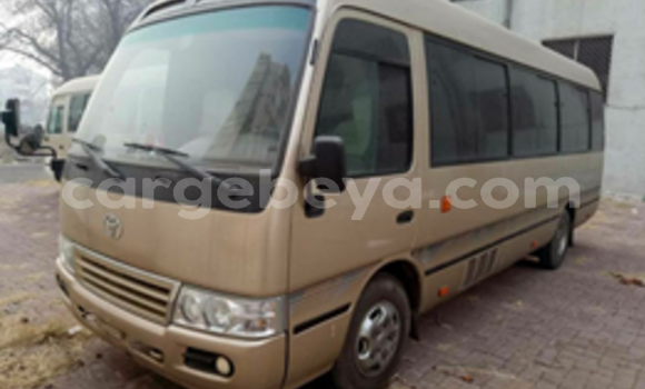 Buy Used Toyota Coaster Beige Car in Addis–Ababa in Ethiopia Buy Used Toyota Coaster Beige Car in Addis–Ababa in Ethiopia