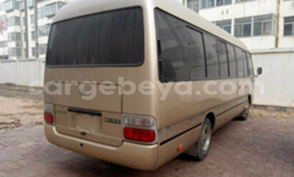 Buy Used Toyota Coaster Beige Car in Addis–Ababa in Ethiopia Buy Used Toyota Coaster Beige Car in Addis–Ababa in Ethiopia