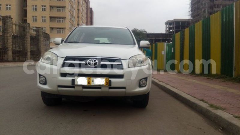 Big with watermark 13735098 151862418576720 6093565268946103501 o