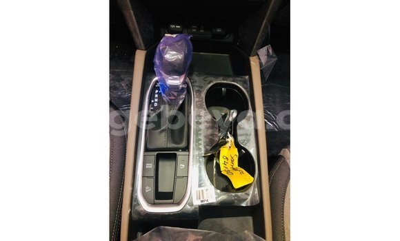 Buy Import Hyundai Santa Fe Red Car in Import - Dubai in Ethiopia Buy Import Hyundai Santa Fe Red Car in Import - Dubai in Ethiopia