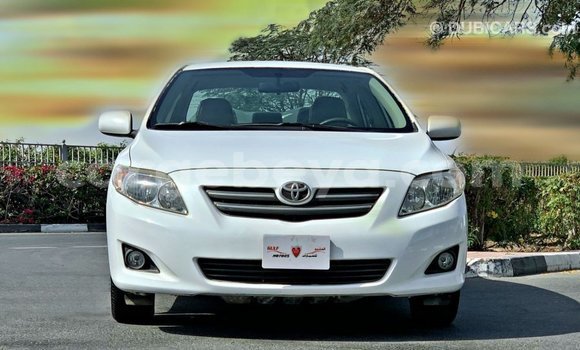 Buy Import Toyota Corolla White Car in Import - Dubai in Ethiopia Buy Import Toyota Corolla White Car in Import - Dubai in Ethiopia