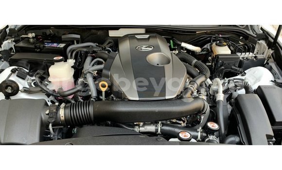 ይግዙ Imported Lexus IS ነጭ መኪና በ Import - Dubai በ ኢትዮጵያ ይግዙ Imported Lexus IS ነጭ መኪና በ Import - Dubai በ ኢትዮጵያ