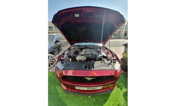 Buy Import Ford Mustang Red Car in Import - Dubai in Ethiopia Buy Import Ford Mustang Red Car in Import - Dubai in Ethiopia