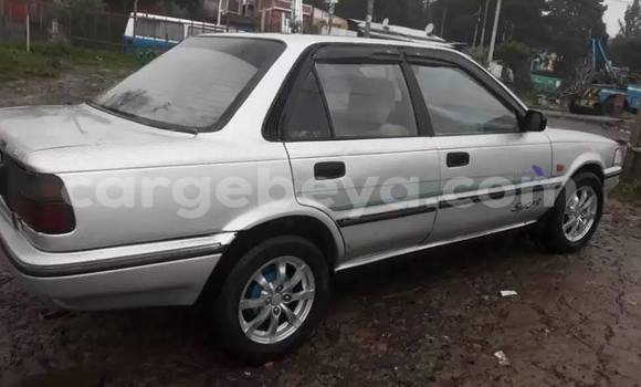 Buy Used Toyota Corolla Silver Car in Addis–Ababa in Ethiopia Buy Used Toyota Corolla Silver Car in Addis–Ababa in Ethiopia