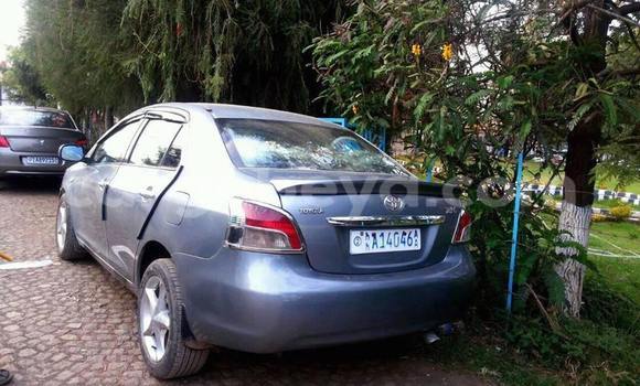 Buy Used Toyota Yaris Blue Car in Addis–Ababa in Ethiopia Buy Used Toyota Yaris Blue Car in Addis–Ababa in Ethiopia