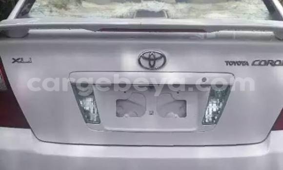 Buy Used Toyota Corolla White Car in Addis–Ababa in Ethiopia Buy Used Toyota Corolla White Car in Addis–Ababa in Ethiopia