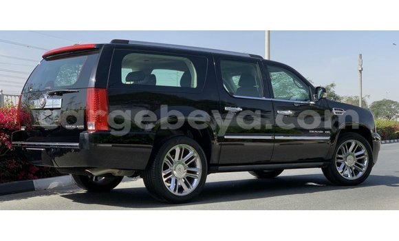 Buy Import Cadillac Escalade Black Car in Import - Dubai in Ethiopia Buy Import Cadillac Escalade Black Car in Import - Dubai in Ethiopia