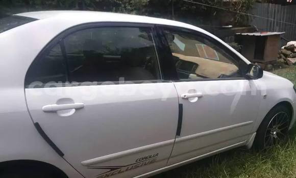 Buy Used Toyota Corolla White Car in Addis–Ababa in Ethiopia Buy Used Toyota Corolla White Car in Addis–Ababa in Ethiopia