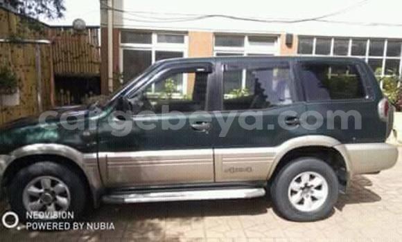 Buy Used Nissan Terrano Green Car in Addis–Ababa in Ethiopia Buy Used Nissan Terrano Green Car in Addis–Ababa in Ethiopia
