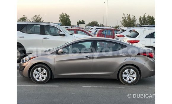 Buy Import Hyundai Elantra Brown Car in Import - Dubai in Ethiopia Buy Import Hyundai Elantra Brown Car in Import - Dubai in Ethiopia