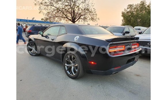 Buy Import Dodge Challenger Black Car in Import - Dubai in Ethiopia Buy Import Dodge Challenger Black Car in Import - Dubai in Ethiopia