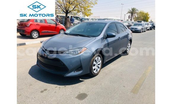 Buy Import Toyota Corolla Other Car in Import - Dubai in Ethiopia Buy Import Toyota Corolla Other Car in Import - Dubai in Ethiopia
