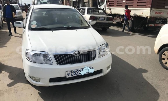 Buy Used Toyota Corolla White Car in Addis–Ababa in Ethiopia Buy Used Toyota Corolla White Car in Addis–Ababa in Ethiopia