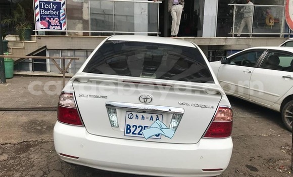Buy Used Toyota Corolla White Car in Addis–Ababa in Ethiopia Buy Used Toyota Corolla White Car in Addis–Ababa in Ethiopia