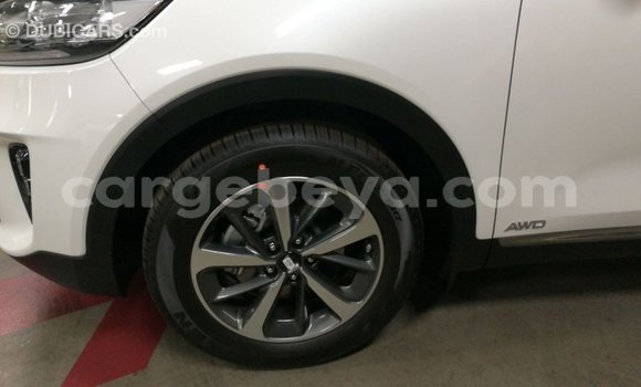 Buy Import Kia Sorento White Car in Import - Dubai in Ethiopia Buy Import Kia Sorento White Car in Import - Dubai in Ethiopia