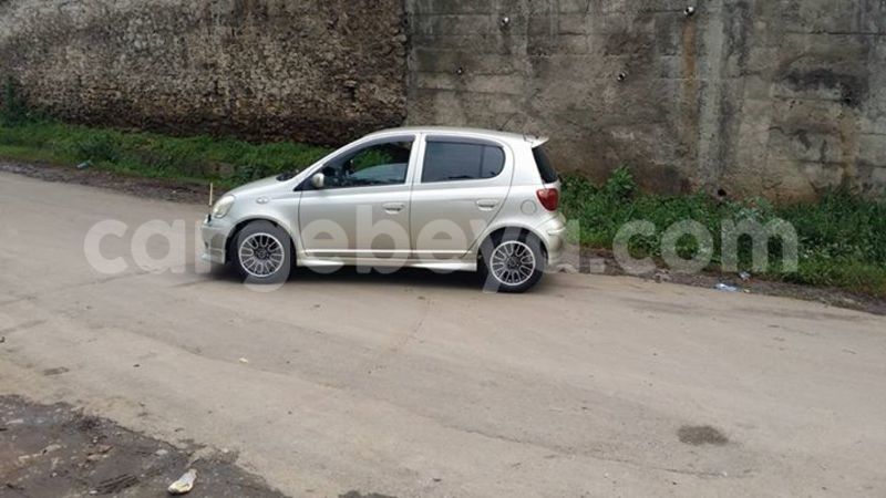 Big with watermark 13615130 1707144936213585 185141221427426471 n