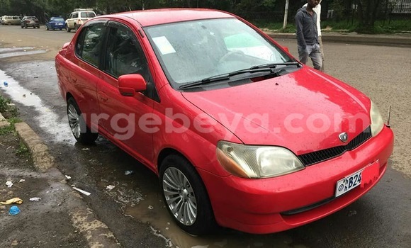 Buy Used Toyota Platz Red Car in Addis–Ababa in Ethiopia Buy Used Toyota Platz Red Car in Addis–Ababa in Ethiopia