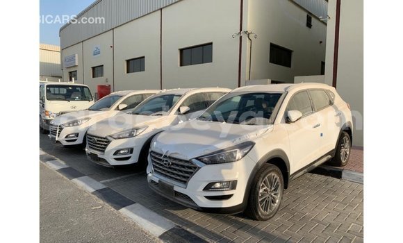 Acheter Import Voiture Hyundai Tucson Blanc à Import - Dubai, Ethiopie Acheter Import Voiture Hyundai Tucson Blanc à Import - Dubai, Ethiopie