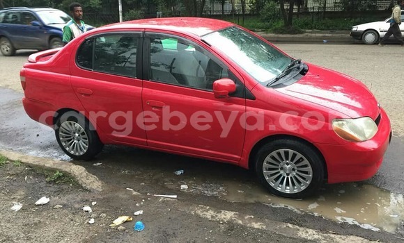 Buy Used Toyota Platz Red Car in Addis–Ababa in Ethiopia Buy Used Toyota Platz Red Car in Addis–Ababa in Ethiopia