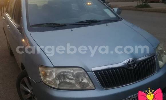 Buy Used Toyota Corolla Other Car in Addis–Ababa in Ethiopia Buy Used Toyota Corolla Other Car in Addis–Ababa in Ethiopia