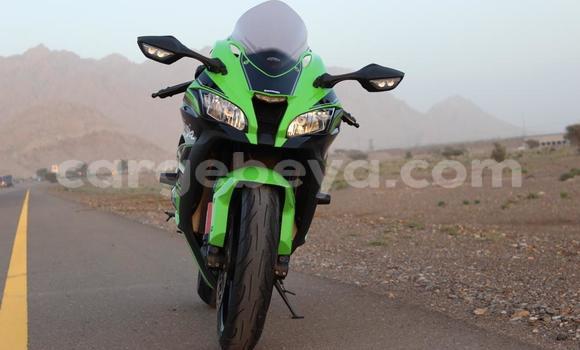 Buy Used Kawasaki Ninja Green Bike in Addi Ark'ay in Amhara Buy Used Kawasaki Ninja Green Bike in Addi Ark'ay in Amhara