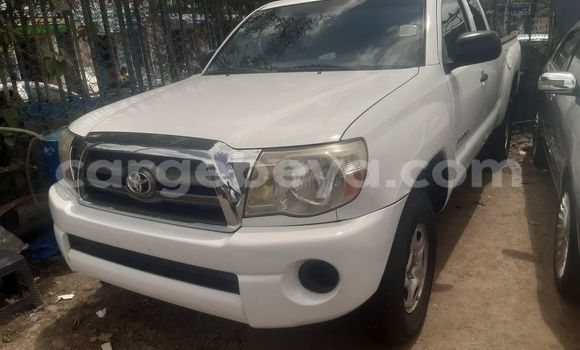 Oofamaa Toyota Tacoma White Makiinaa iti Addis–Ababa keessatti Ethiopia keessatti Oofamaa Toyota Tacoma White Makiinaa iti Addis–Ababa keessatti Ethiopia keessatti