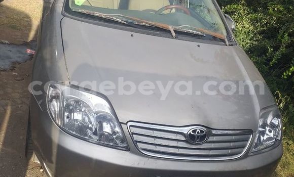 Oofamaa Toyota Corolla Brown Makiinaa iti Addis–Ababa keessatti Ethiopia keessatti Oofamaa Toyota Corolla Brown Makiinaa iti Addis–Ababa keessatti Ethiopia keessatti