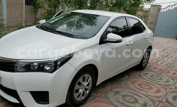 Oofamaa Toyota Corolla White Makiinaa iti Addis–Ababa keessatti Ethiopia keessatti Oofamaa Toyota Corolla White Makiinaa iti Addis–Ababa keessatti Ethiopia keessatti