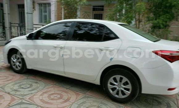 Oofamaa Toyota Corolla White Makiinaa iti Addis–Ababa keessatti Ethiopia keessatti Oofamaa Toyota Corolla White Makiinaa iti Addis–Ababa keessatti Ethiopia keessatti