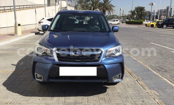 Buy Used Subaru Forester Blue Car in Addis–Ababa in Ethiopia