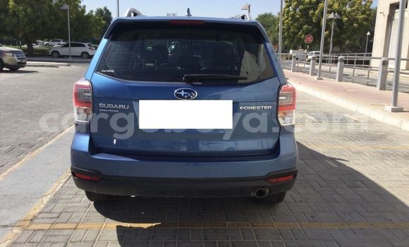 Buy Used Subaru Forester Blue Car in Addis–Ababa in Ethiopia Buy Used Subaru Forester Blue Car in Addis–Ababa in Ethiopia
