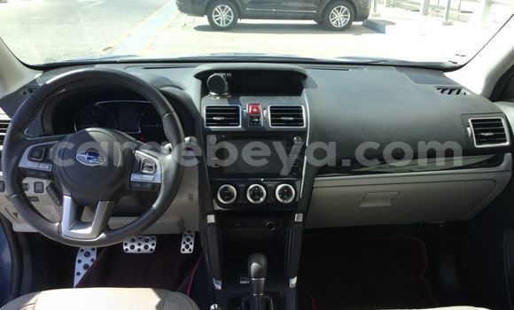 Buy Used Subaru Forester Blue Car in Addis–Ababa in Ethiopia Buy Used Subaru Forester Blue Car in Addis–Ababa in Ethiopia