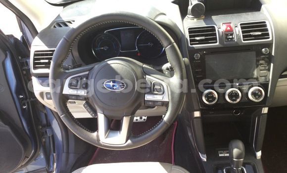 Buy Used Subaru Forester Blue Car in Addis–Ababa in Ethiopia Buy Used Subaru Forester Blue Car in Addis–Ababa in Ethiopia