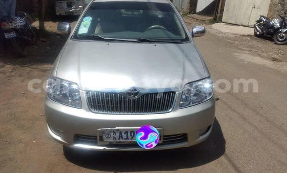Buy Used Toyota Corolla Silver Car in Addis–Ababa in Ethiopia Buy Used Toyota Corolla Silver Car in Addis–Ababa in Ethiopia