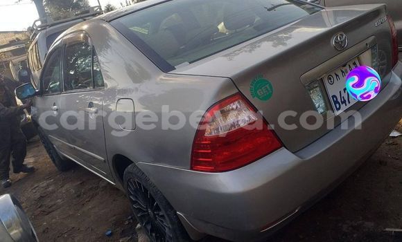 Buy Used Toyota Corolla Silver Car in Addis–Ababa in Ethiopia Buy Used Toyota Corolla Silver Car in Addis–Ababa in Ethiopia