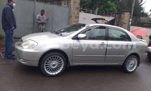 Buy Used Toyota Corolla Silver Car in Addis–Ababa in Ethiopia Buy Used Toyota Corolla Silver Car in Addis–Ababa in Ethiopia