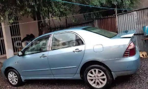 Buy Used Toyota Corolla Blue Car in Addis–Ababa in Ethiopia Buy Used Toyota Corolla Blue Car in Addis–Ababa in Ethiopia