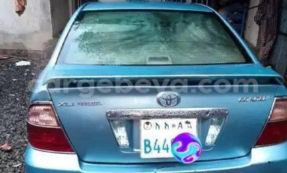 Buy Used Toyota Corolla Blue Car in Addis–Ababa in Ethiopia Buy Used Toyota Corolla Blue Car in Addis–Ababa in Ethiopia